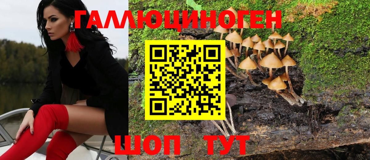 Галлюциногенные грибы Psilocybe Ноябрьск