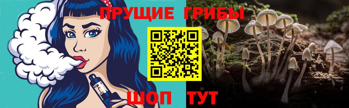 Галлюциногенные грибы MAGIC MUSHROOMS  Вход с VPN  Псилоцибиновые грибы ЛСД  Ноябрьск 